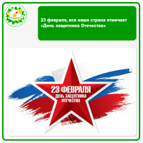 23 февраля, вся наша страна отмечает «День защитника Отечества». 23 февраля, вся наша страна отмечает «День защитника Отечества».
