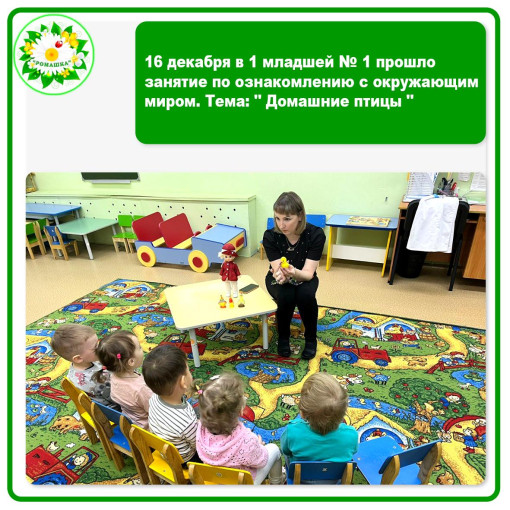 16 декабря в 1 младшей №1 прошло занятие на тему: " Домашние птицы " 16 декабря в 1 младшей №1 прошло занятие на тему: " Домашние птицы ".